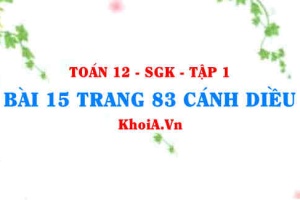 Bài 15 trang 83 Toán 12 tập 1 Cánh Diều